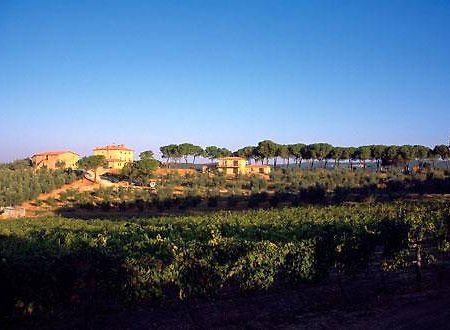 Villa Il Tesoro Massa Marittima Bagian luar foto
